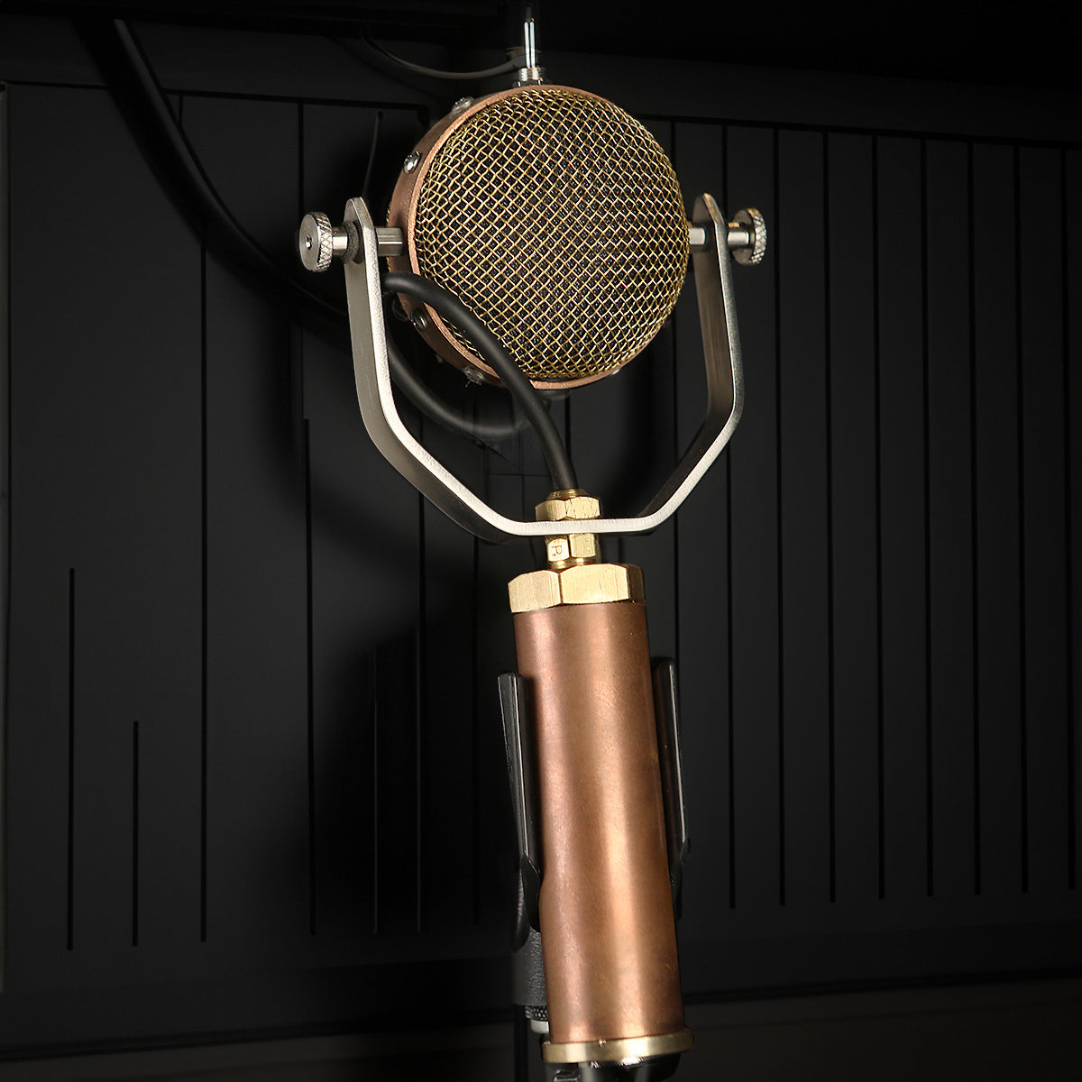 Ear Trumpet Labs Mabel Multi-Pattern Condenser Microphone