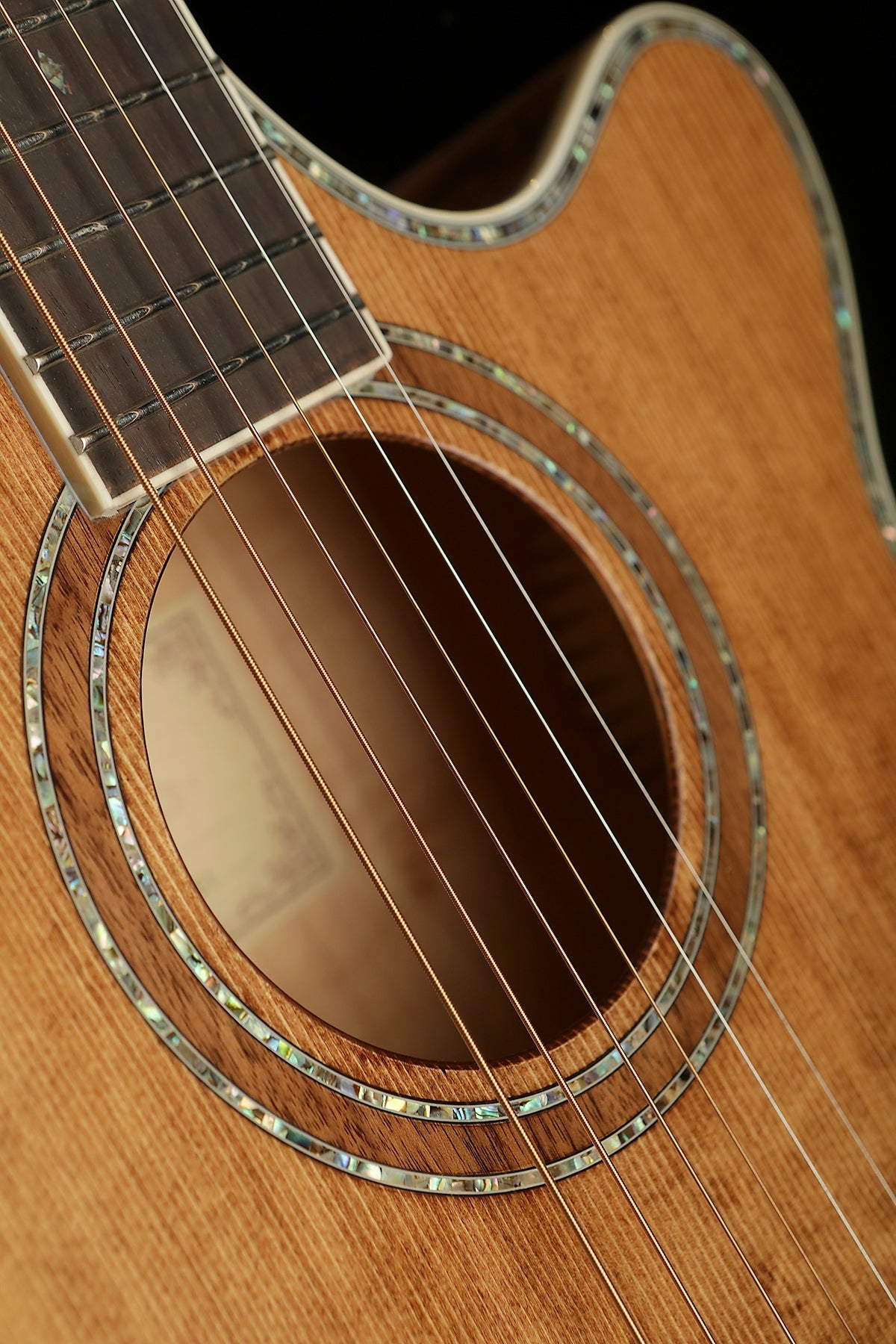 Cort SFX10  SFX Series Acoustic Guitar