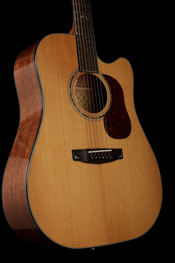 Cort guitars online gold a6