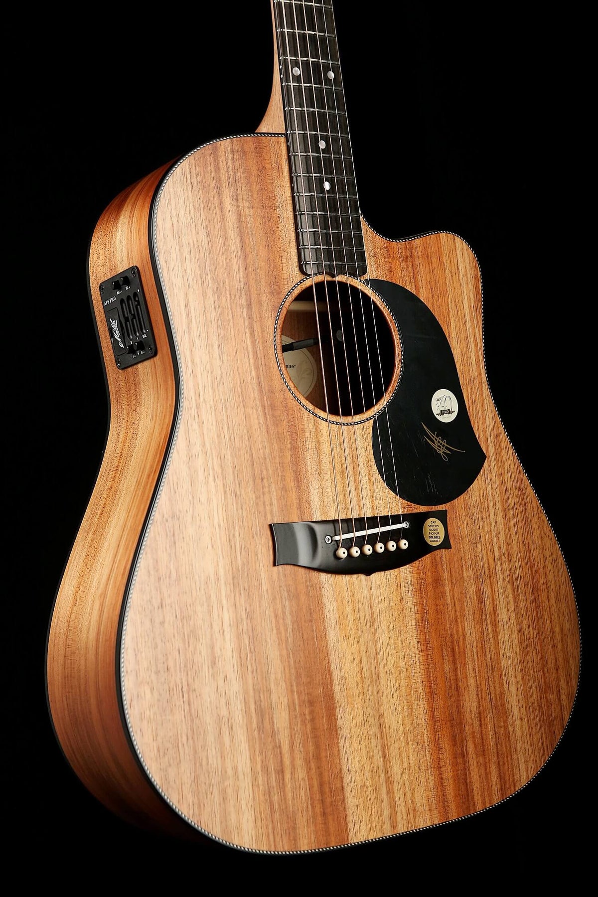 Maton EBW70C Blackwood Acoustic Electric Guitar | For Sale at 