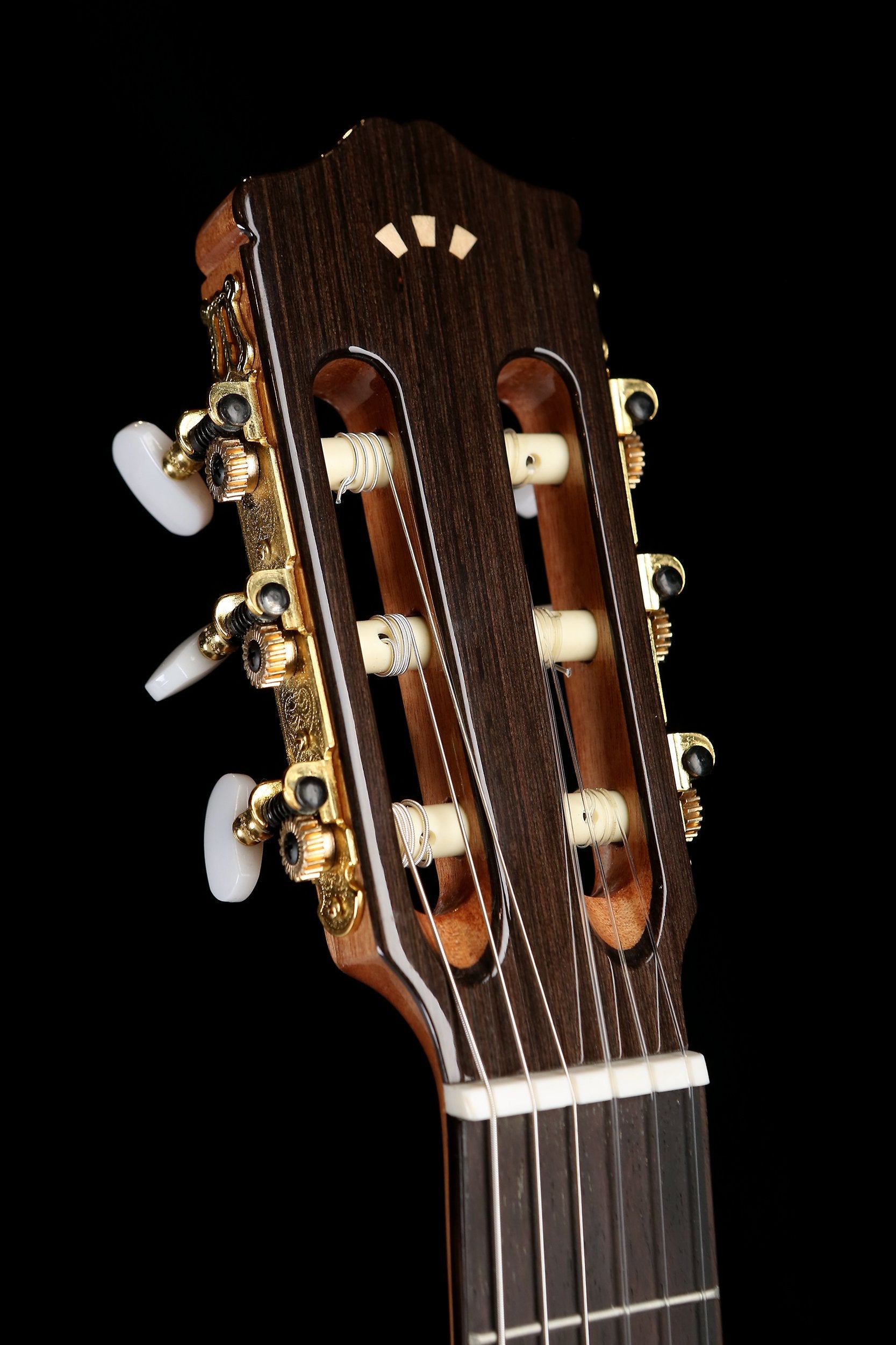 C5 Guitar - A Beginner Nylon-String Guitar