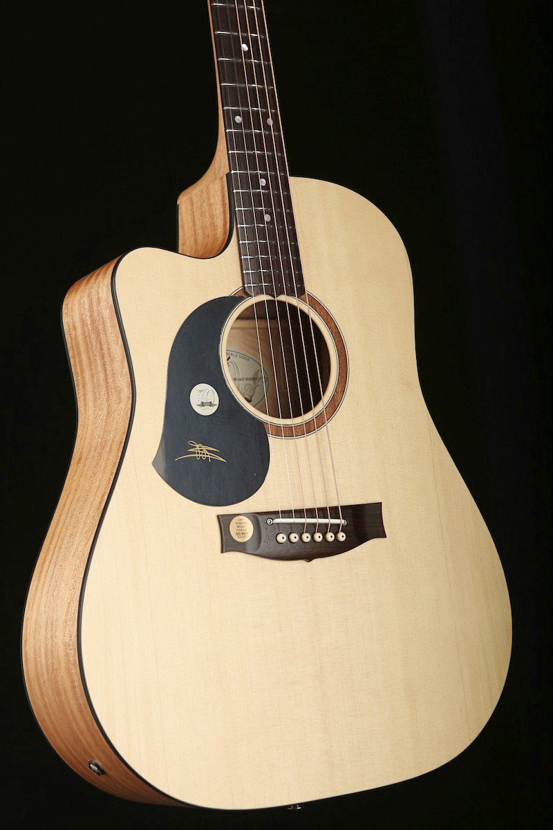 Left handed outlet maton guitar